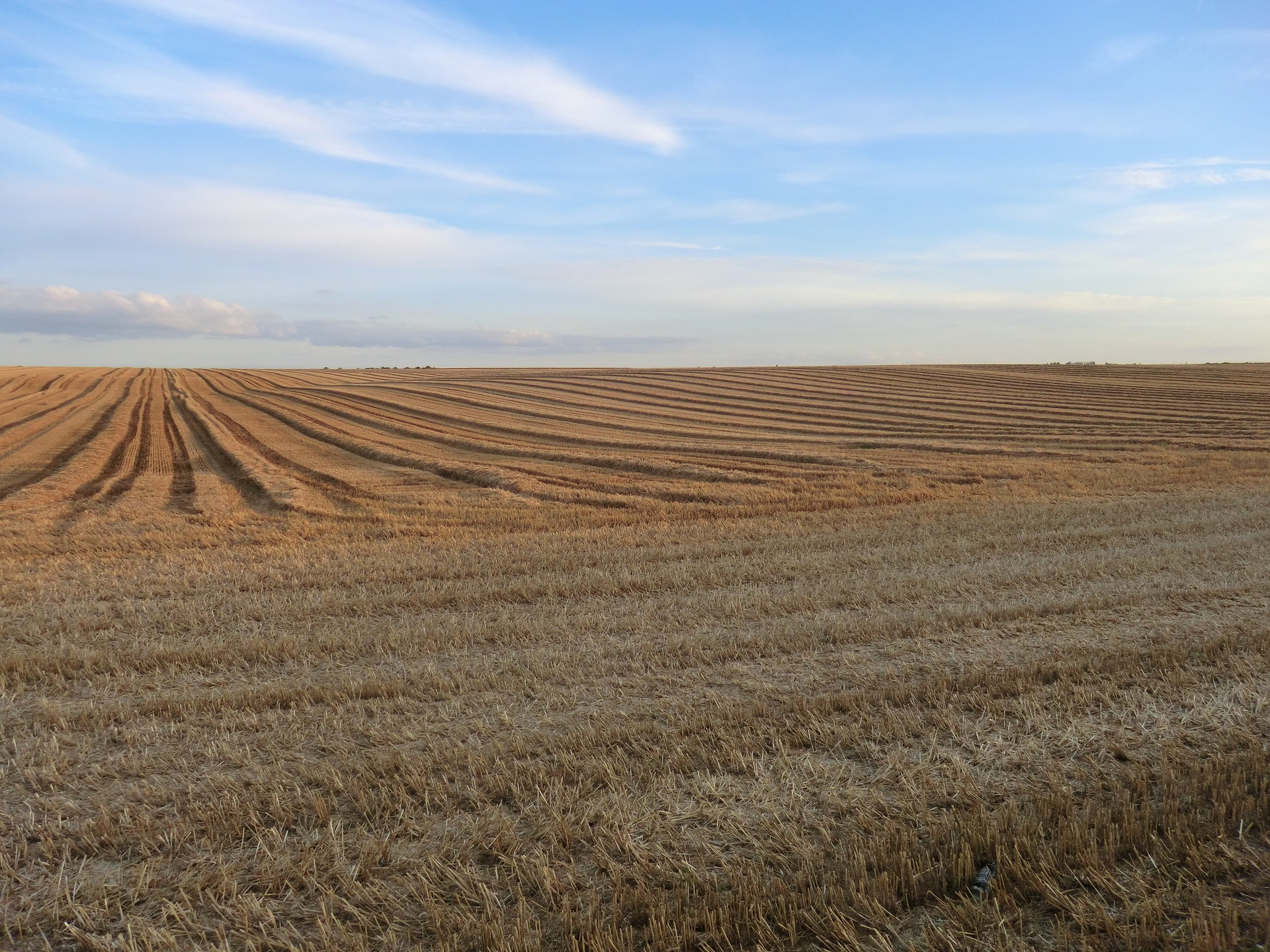 1531286563834386.jpg agro-industry-3099845_1920.jpg