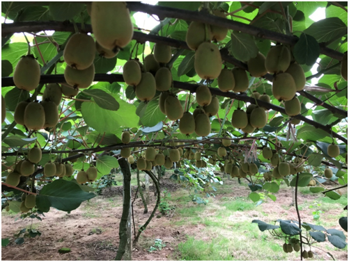 1583199465765897.png QAW9%@KOOH683VTNZXS})VR.png