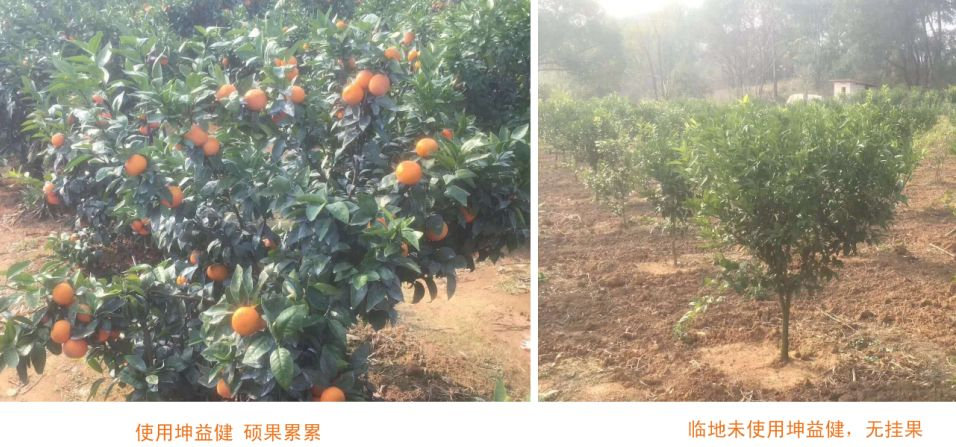 1583204555428806.png X0W6))[K[{S7SFZZ{ON$PDK.png