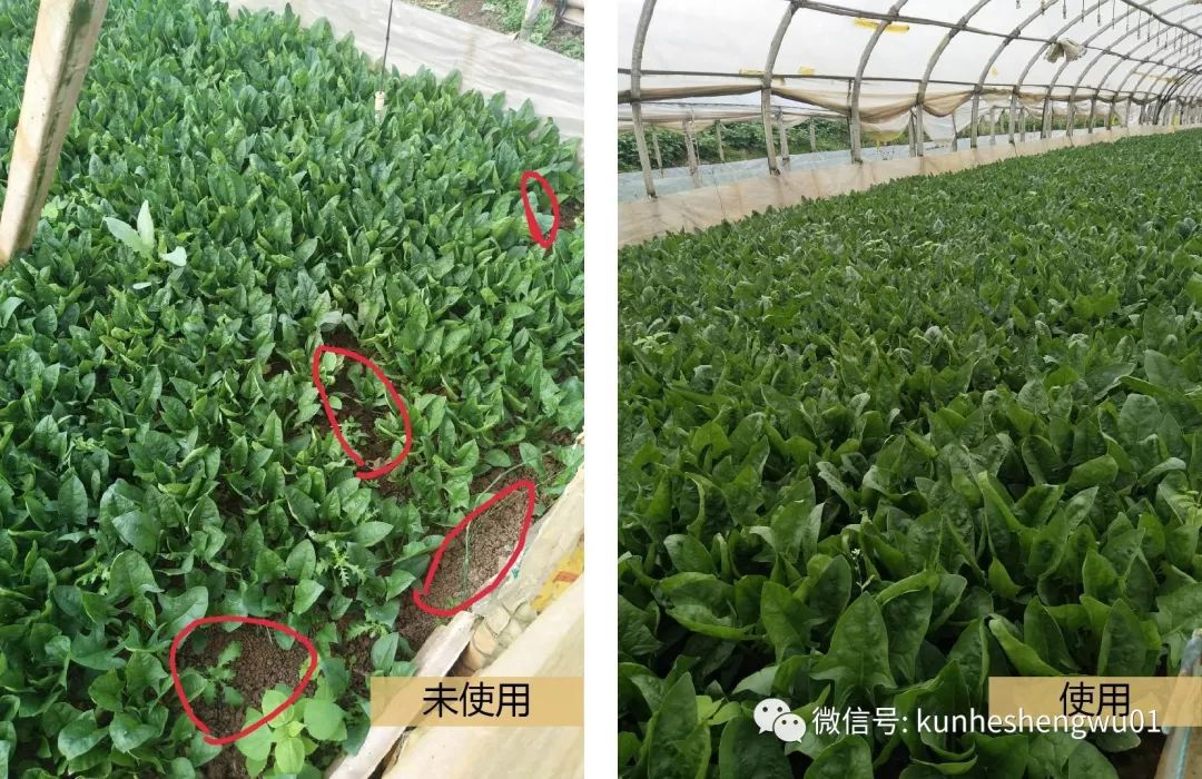 1583211404968829.png I4QJJO45MO6@FNXKI{UHYQY.png