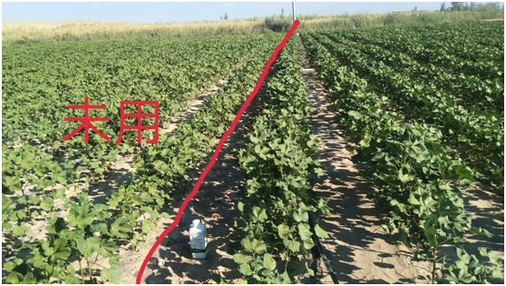 1583214532194360.png BA~XHM_O838$}RIDRWU8N{5.png