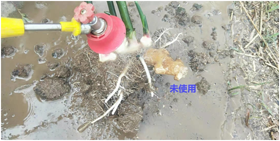 1583217467173643.png {{JR@4%W`D5_YBD5Y9KKYB2.png