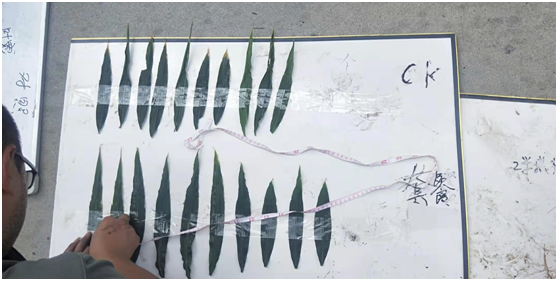 1583217509263765.png J~`90INXL}L`[%C52`6~SF9.png