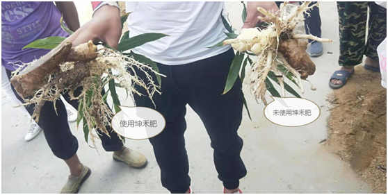 1583217589986790.png KF@I$BS1F@BS4)M$)4MNQ_N.png