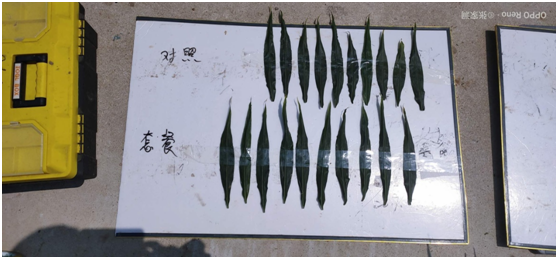 1583217779372646.png K8REWO05`6R2VVFPNTD~_PV.png