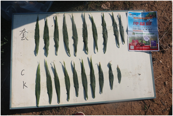 1583217934707862.png `4YYDQ54K8[(RVJT_NWK68H.png