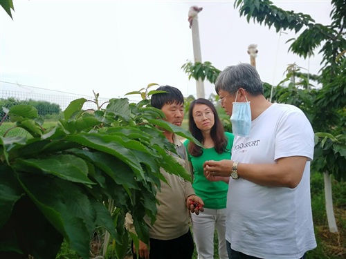 1592279952780604.jpg 微信圖片_20200525104725.jpg