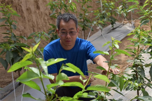 1592279975998465.jpg 微信圖片_20200525104809.jpg