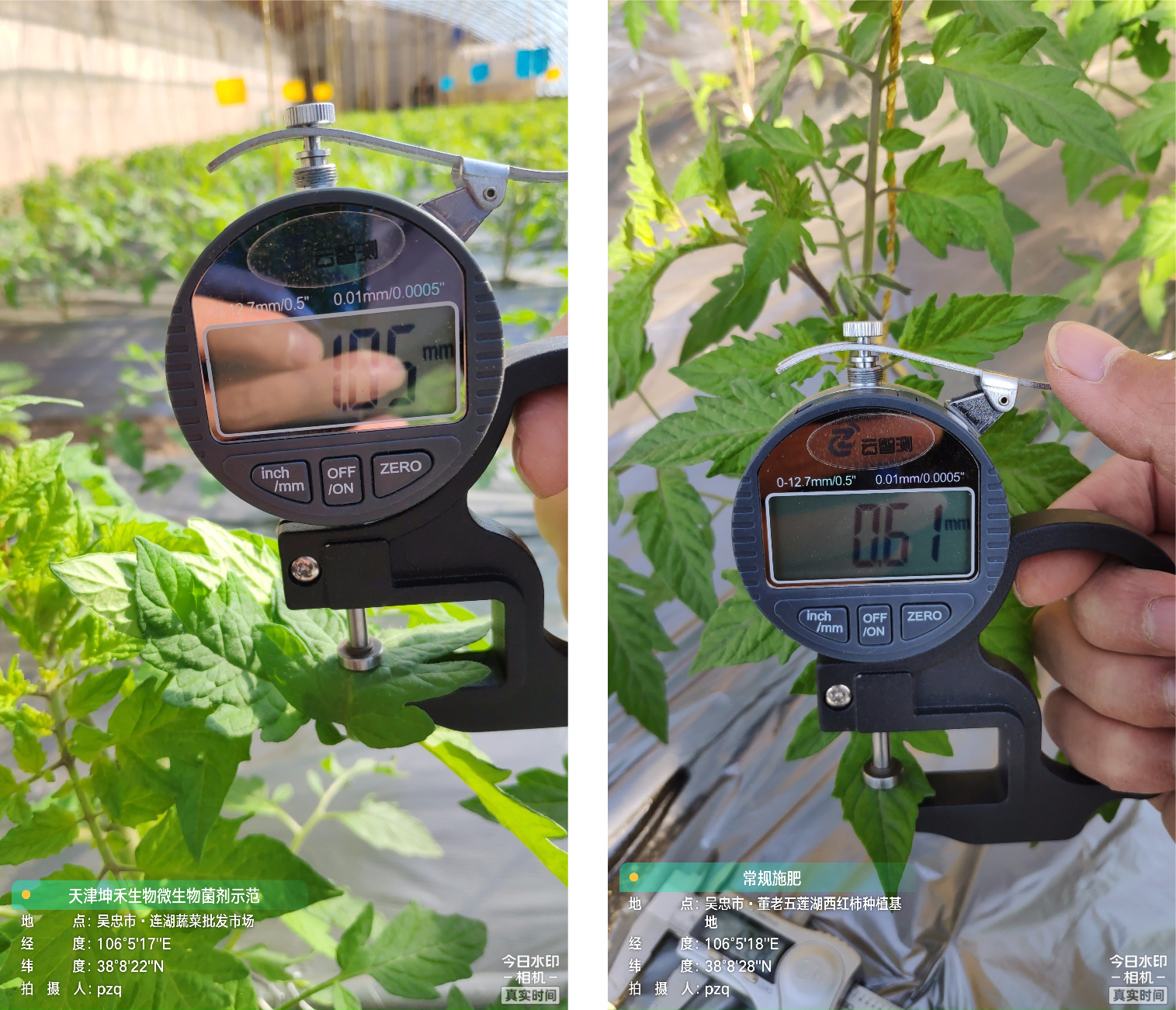 1652672304109934.jpg 11-01.jpg