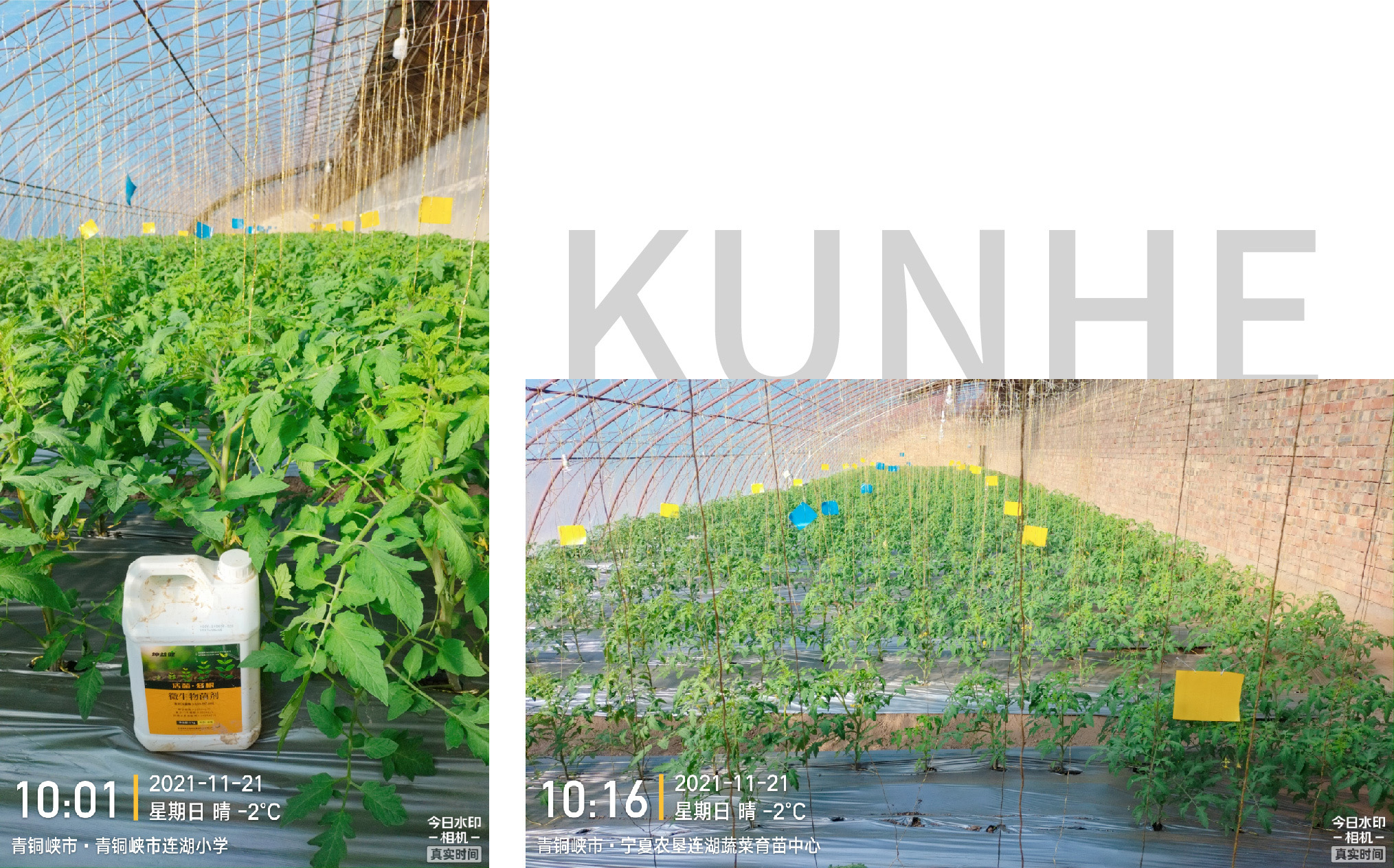 1652672368101270.jpg 15-01.jpg