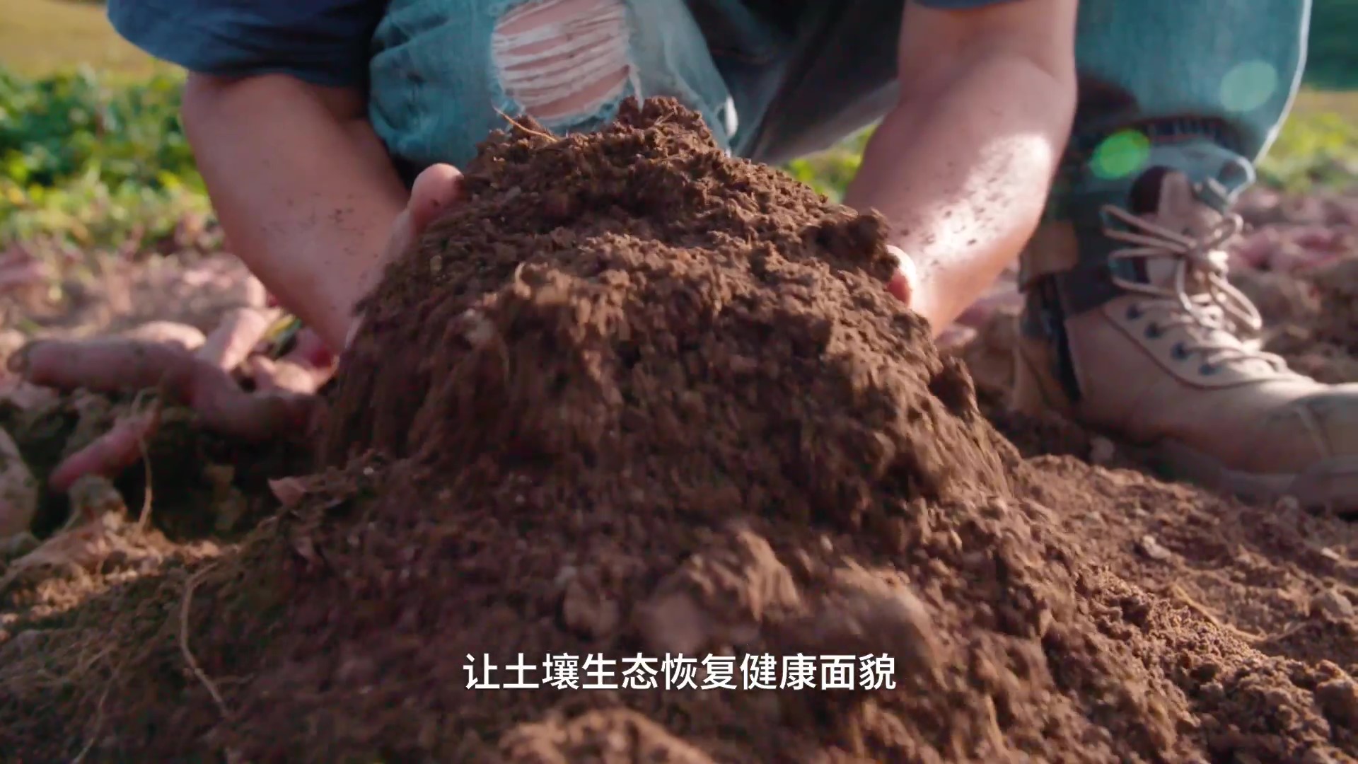 坤禾集團(tuán)宣傳片_20211202-定稿（視頻號(hào)） - frame at 6m33s.jpg